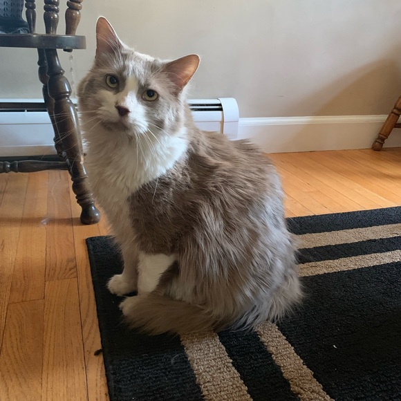 Meet me! - Picture 3 of 3